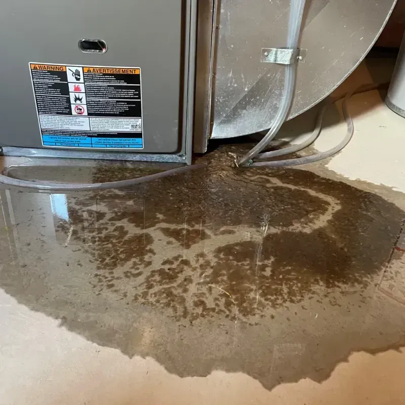 Appliance Leak Cleanup in King County, WA